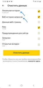 Наслаждаемся отсутствием поиска Яндекс на iPhone