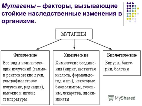 Наследственные факторы и гормональные изменения