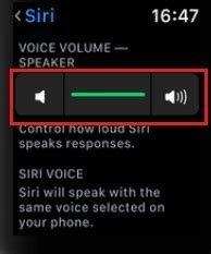 Настройка голоса Siri: лучший звук с программой Siri