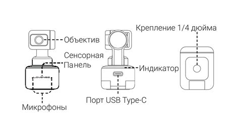 Настройка и обновление программного обеспечения камеры 365 cam