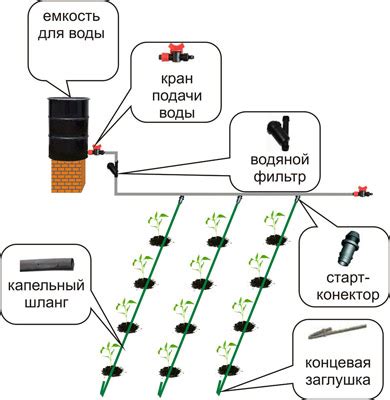 Настройка капельной системы полива