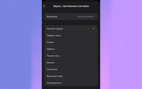 Настройка мелодии будильника на iOS