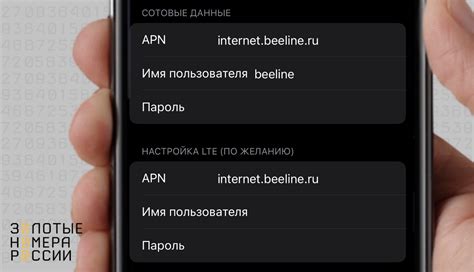 Настройка точки доступа на iPhone 14 Pro Max