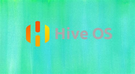 Настройка Hive OS после установки