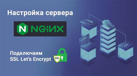 Настройка Nginx для работы с проектом Vue