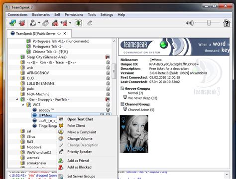 Настройка TeamSpeak 3