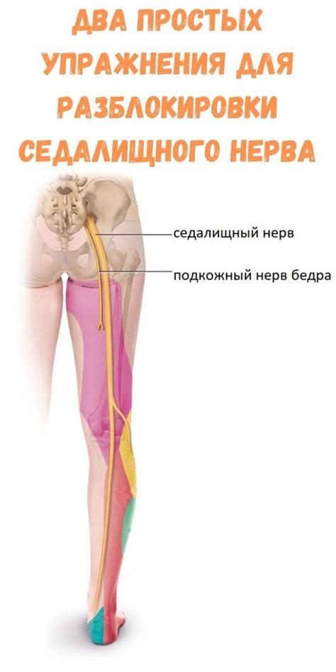 Натуральные способы снятия воспаления с седалищного нерва