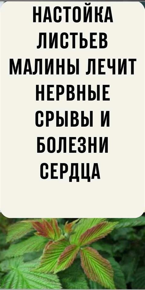 Натуральные средства для восстановления маны атронаха: советы от природы