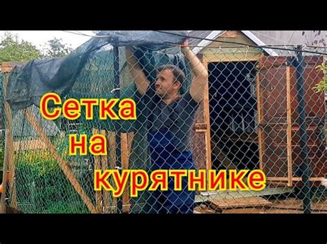 Натяжение капроновой сетки на выгуле для кур