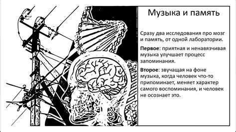 Научные исследования: музыка и фокус