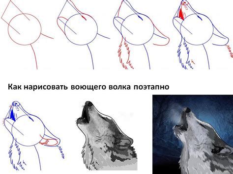 Начало рисования волка