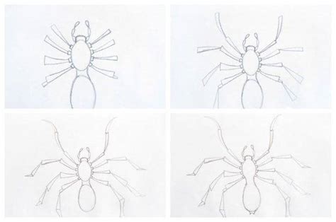 Начальные шаги для создания рисунка паука