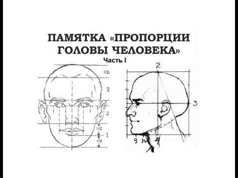 Начертание основных форм головы и тела Брендона