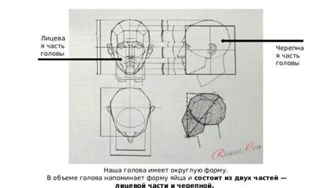 Начертить округлую форму головы