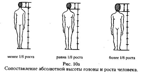 Начинайте с головы и смещайтесь к формированию тела