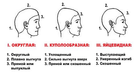 Начните с очертания головы и волос