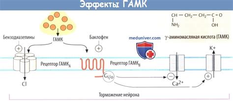 Неблагоприятные эффекты и побочные действия ГАМК