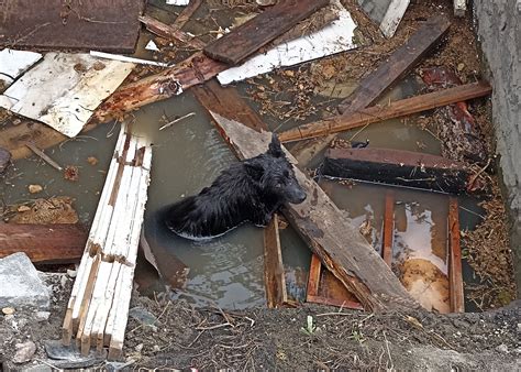 Негативные последствия, которые возникают при наличии ямы с водой в гараже