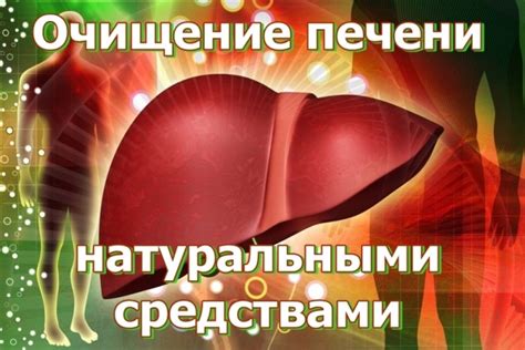 Негативные последствия пищевых токсинов для здоровья