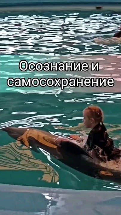 Нежность и самосохранение