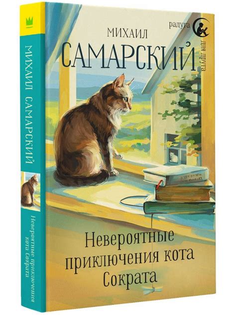 Незабываемые приключения кота и песа в Кинешме