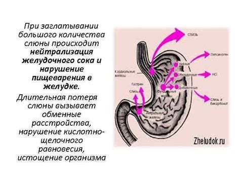 Нейтрализация желудочного сока и проведение качественного анализа