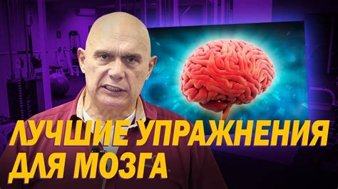 Нелекарственные методы улучшения состояния сосудов головного мозга