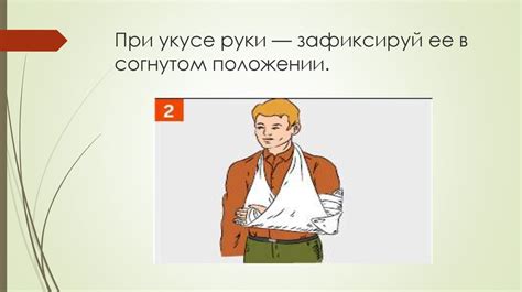 Немедленные действия после укуса