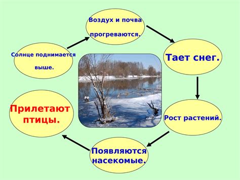 Необратимые изменения в природе