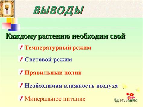 Необходимая влажность