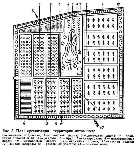 Необходимое оборудование для питомника