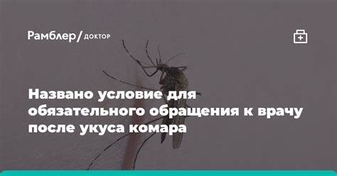 Необходимость и правила обращения к врачу после укуса