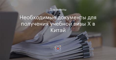 Необходимые документы для получения визы