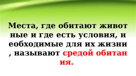 Необходимые условия для подключения через Wi-Fi