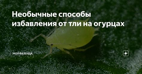 Необычные способы избавления от пятен