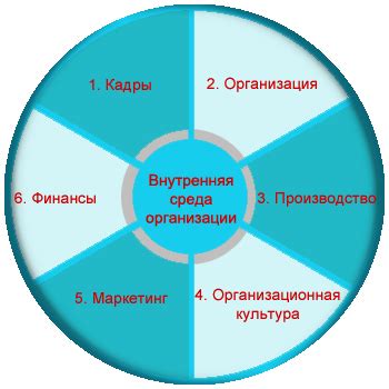 Неожиданные отличия во внутренней организации