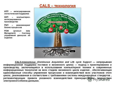 Непрерывная поддержка и внимание