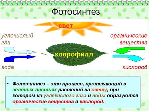 Несоответствующий световой режим