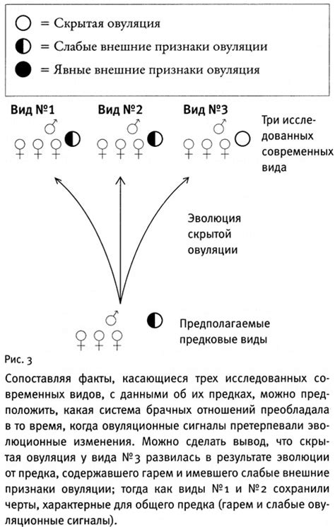 Неясность возникновения беспорядочного хаоса и его последствия