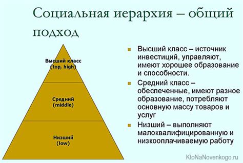 Новая иерархия и организация в стае