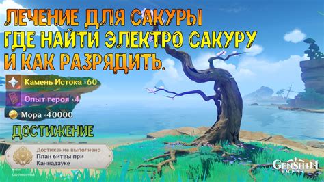 Новые навыки для сакуры на 50 уровне