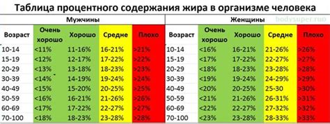 Норма жира в организме человека