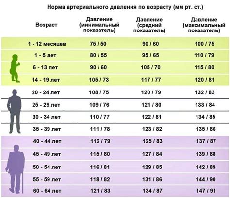 Нормы пульса на тонометре: возрастные и половые отклонения