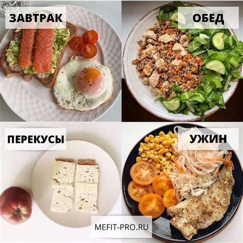 Обеспечение правильного питания для куколки