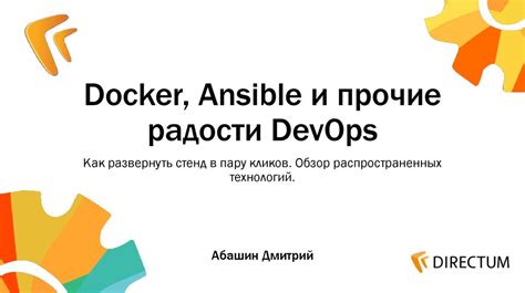 Обзор запроса в Ansible