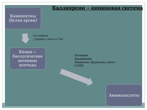 Обзор методов изучения гормонального фона