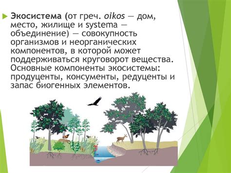 Обитание Якса: водные экосистемы