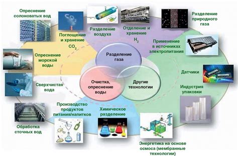 Области применения миелографии