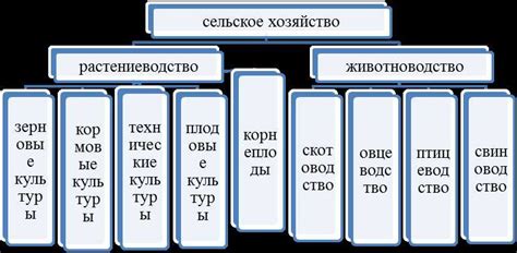 Область специализации: определение и значение