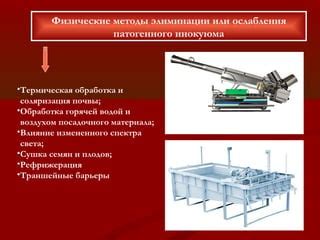 Обработка листьев горячей водой